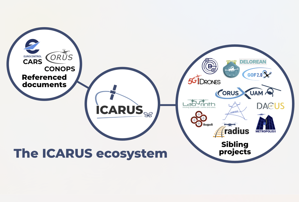 The ICARUS ecosystem